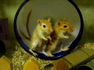 Storage What SQL Server DBAs Need To Know